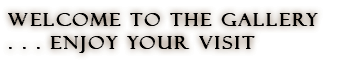 Welcome to the Gallery
. . . enjoy your visit